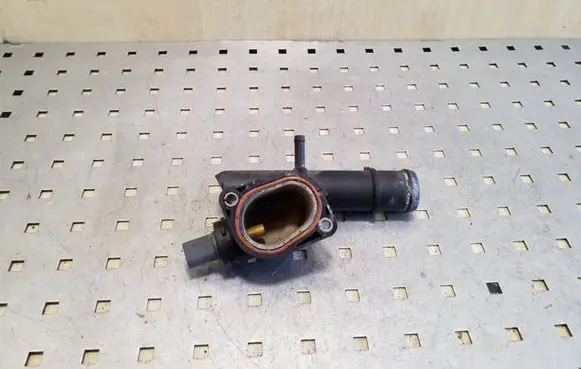 Thermostat/thermostat housing