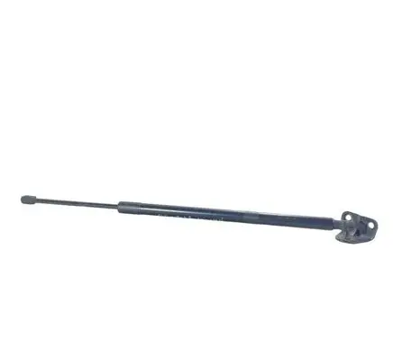 Ford Kuga III Tailgate/trunk strut/damper LJ6BS406A11AC LJ6BS444A19A