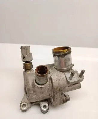 Thermostat/thermostat housing
