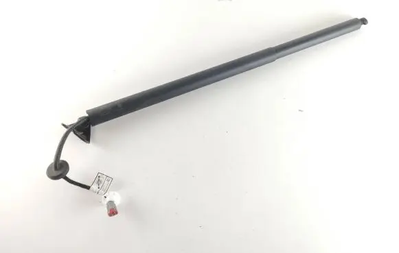 Ford Mustang Mach-E Tailgate/trunk/boot lift motor LJ8BR402A55AB