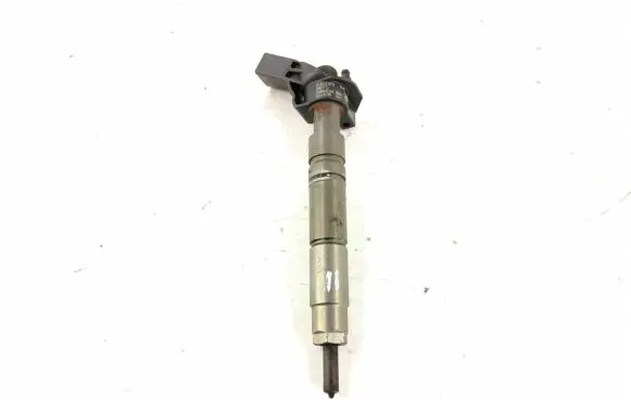 Mercedes-Benz GLK (X204) Fuel injector 6420701387 6420701987