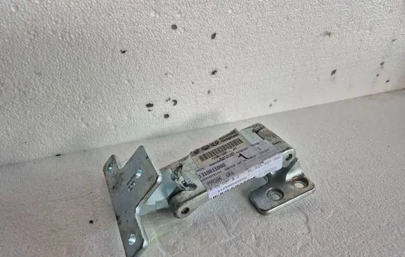 Fiat Ducato Rear door upper hinge 1318811080