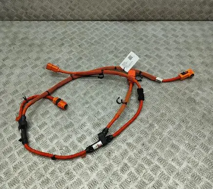 Audi e-tron Other wiring loom 4KL971059