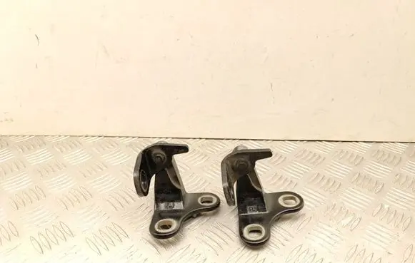 Tesla Model Y Front door hinge set TA101005A