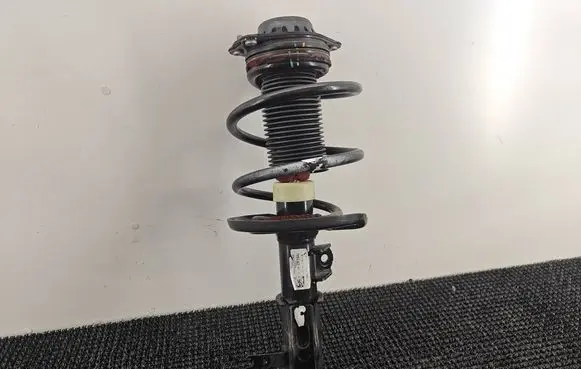 Chevrolet Malibu Front shock absorber/damper 84315823 548683657 2210400000000L