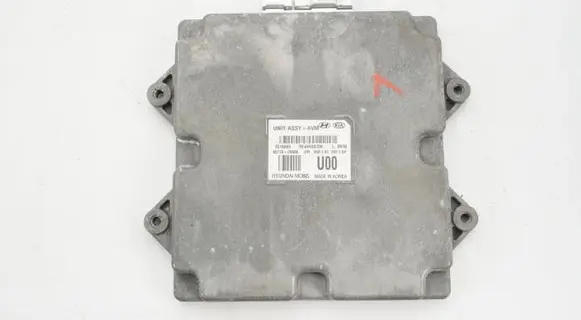 KIA Sorento Other control units/modules 95770C5000 3V95771920
