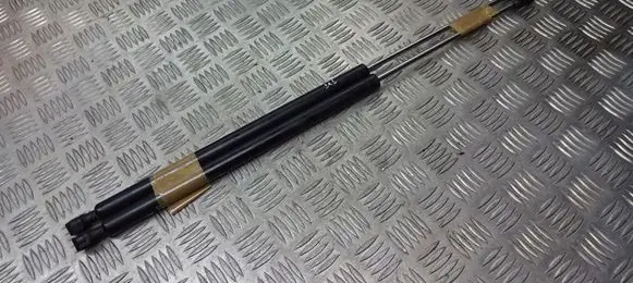 Peugeot 807 Tailgate/trunk/boot tension spring 1492653080