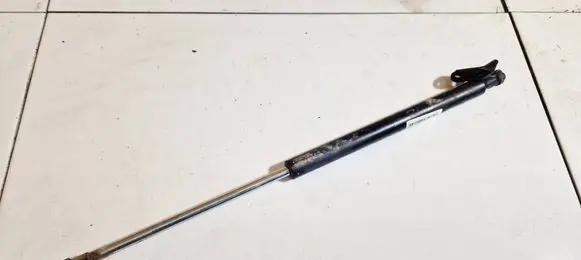 Tailgate/trunk strut/damper