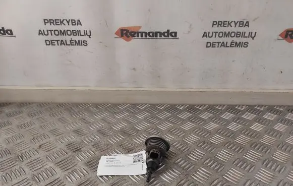 Renault Trafic III (X82) AdBlue injector 208993839R