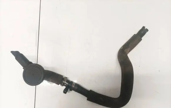 Renault Scenic I Oil breather separator 3911171934