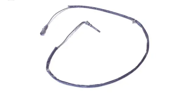Opel Signum Exhaust gas temperature sensor 55557466
