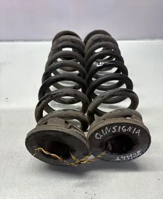 Opel Insignia B Rear coil spring