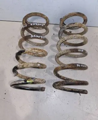 Rear coil spring