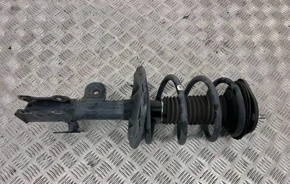 Toyota Mirai Front shock absorber with coil spring 4852062010 48520-62010