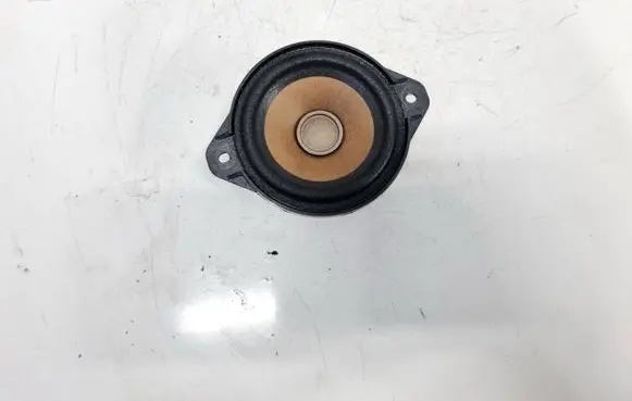 Front door speaker