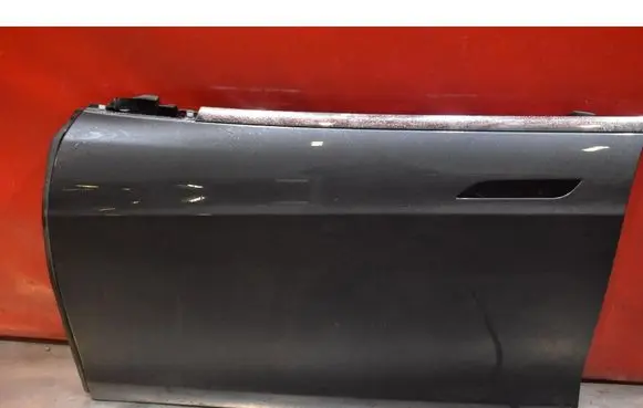 Tesla Model S Front door