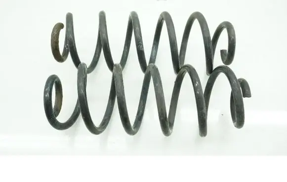 Rear coil spring