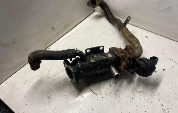 Renault Trafic II (X83) EGR valve cooler 880255X