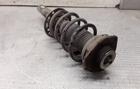 Volkswagen PASSAT B6 Front shock absorber with coil spring 
