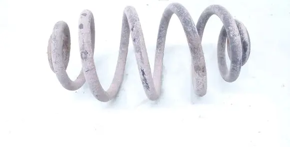 Volkswagen PASSAT B5.5 Rear coil spring