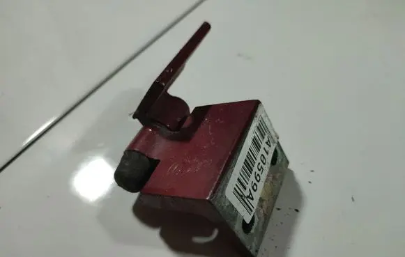 Peugeot 406 Rear door lower hinge