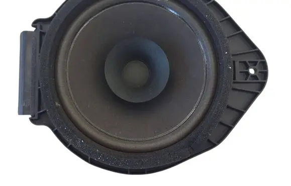 Opel Insignia A Parcel shelf speaker 5235