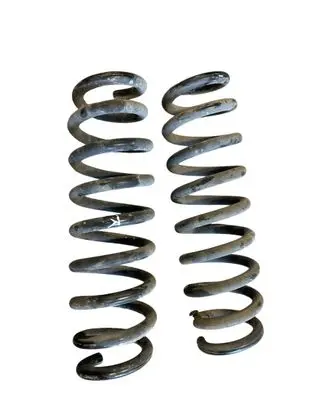 Rear coil spring