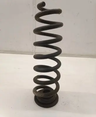 Opel Insignia B Rear coil spring