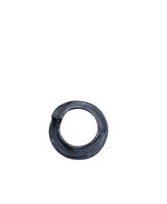 Ford Mustang VI Rear coil spring rubber mount E1GC5B718A