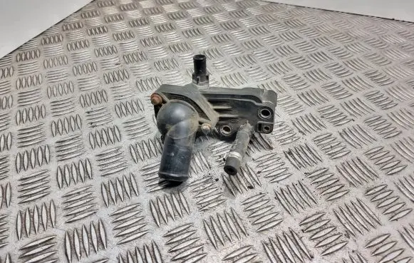 Thermostat/thermostat housing