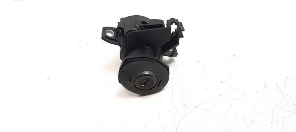 BMW 3 E92 E93 Tailgate exterior lock 7167321