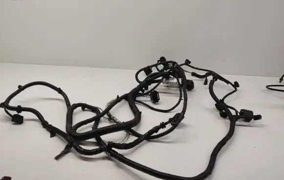 Other wiring loom
