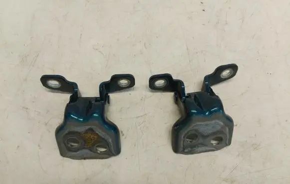 Renault Arkana Rear door hinge set RenArkzawipt