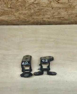 Renault Austral Rear door hinge set 