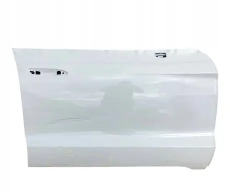 Porsche Taycan 9J1 Front door 9J1831194 AM945M004