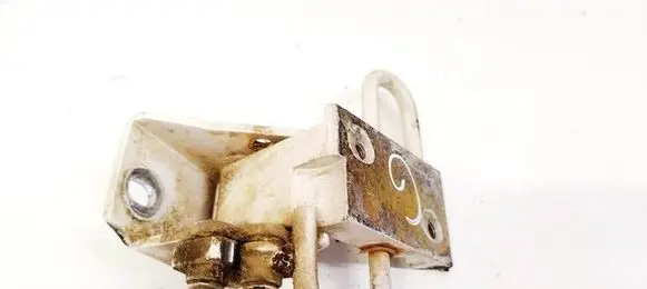 Volkswagen PASSAT B5 Rear door lower hinge