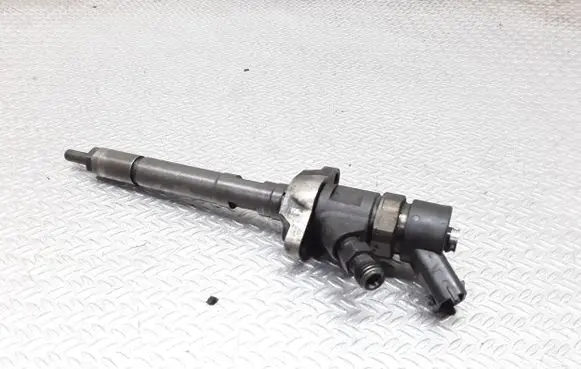 Citroen C5 Fuel injector 0445110259
