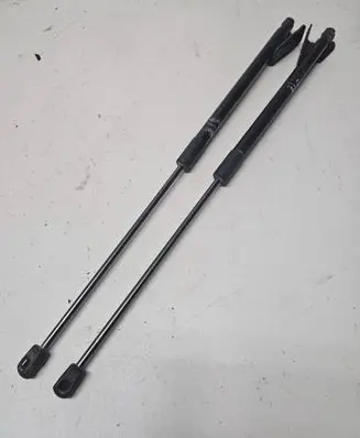 Tailgate/trunk strut/damper