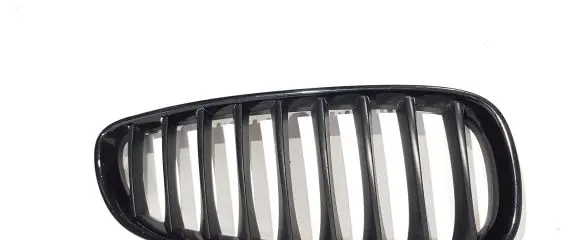 BMW Z4 E89 Front grill R40502055 10627110
