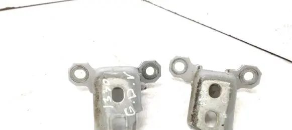 Renault Laguna III Rear door hinge set TED69