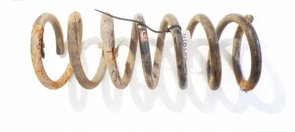 Rear coil spring