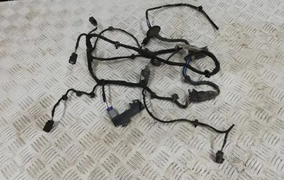 Ford Ecosport Engine installation wiring loom CN15-15K868-MA 12581839