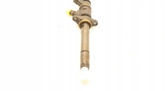 Citroen C4 I Fuel injector 0445110297