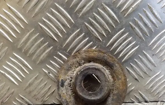 Coil spring mount