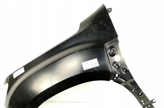 Dacia Duster II Fender 4561007