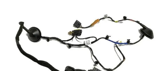 Rear door wiring loom