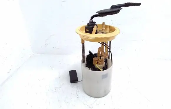 Volkswagen Beetle A5 In-tank fuel pump 1K0919050AB A2C53434508