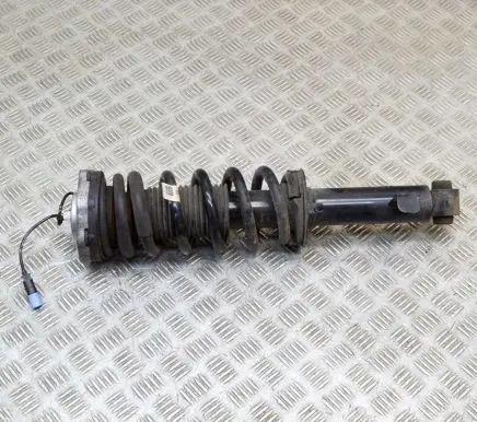 BMW X3M F97 Rear shock absorber/damper 8067507 482400017218
