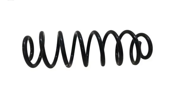 Rear coil spring