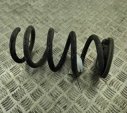 Tesla Model Y Rear coil spring 118847400B